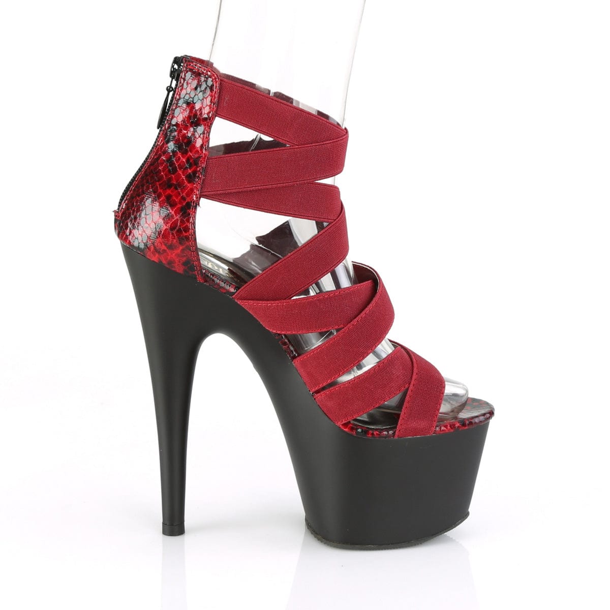 ADORE-748SP Wine Elastic Band-Snake Print Patent/Black Matte